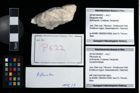 Foto (Objekt + Etikett) von Pithonoton sp.  (NHMW-GEO-2014-0194-0622)